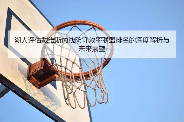 湖人评估戴维斯内线防守效率联盟排名的深度解析与未来展望