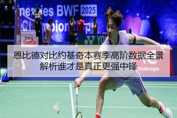 恩比德对比约基奇本赛季高阶数据全景解析谁才是真正更强中锋