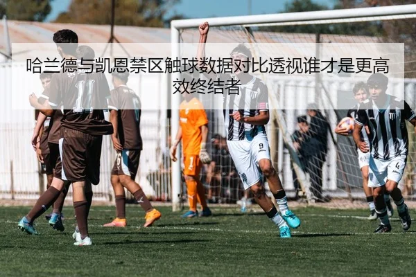 哈兰德与凯恩禁区触球数据对比透视谁才是更高效终结者